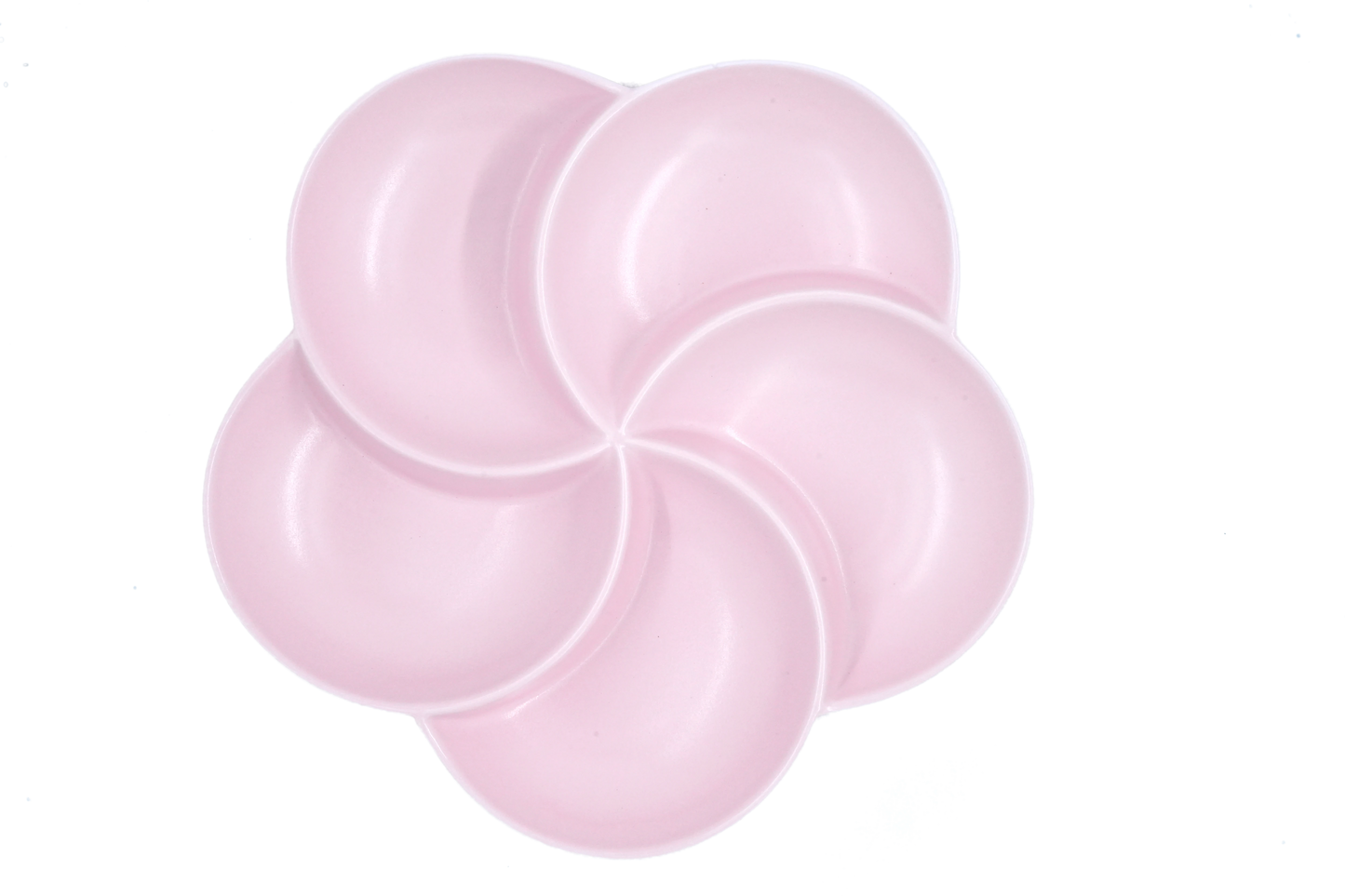 Top view of a 5-section porcelain sectional thali for mindful eating and portion control of Indian meals.