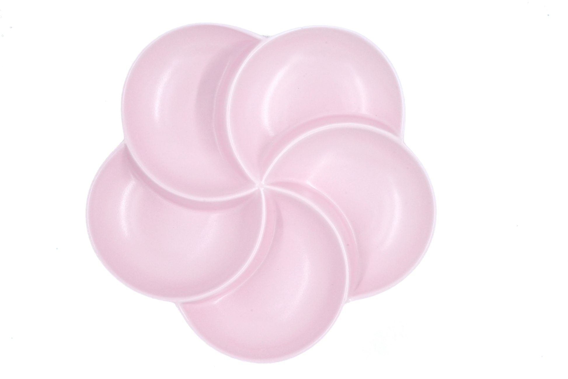 Top view of a 5-section porcelain sectional thali for mindful eating and portion control of Indian meals.